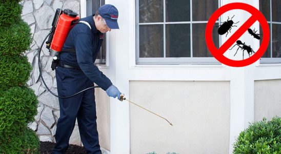 Tire Uçan Haşere İlaçlama böcek ilaçlama ve haşere kontrolü — ilaclama-tr.com